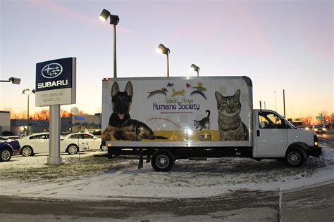 Yark Subaru Toledo Humane Society Adoption Event Yark Automotive Flickr