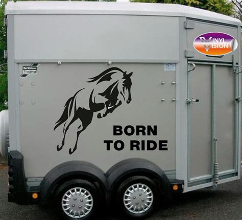 Born To Ride Horses Vinyl Adhesive Stickers Graphics For Horsebox