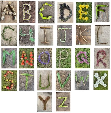 Nature Alphabet Cards Printable Digital Download Natural Early Etsy Italia