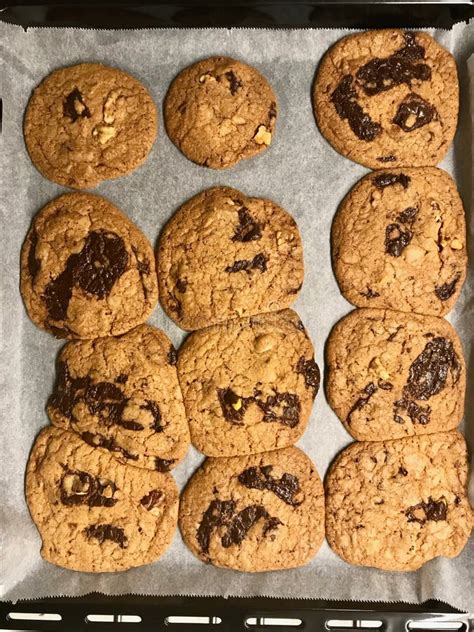 Homemade Chocolate Chip Cookies On Oven Tray Stock Photo Image Of