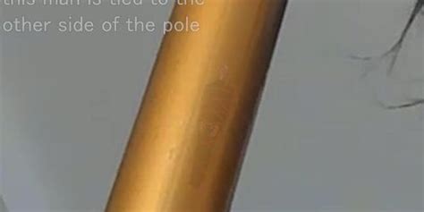 Free Giantess Buttcrush Porn Videos Sex Movies Tnaflix