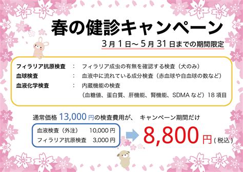 今年も「春の健康診断キャンペーン」を実施します！【2024年版】 港南区の動物病院oceans Pet Care Center