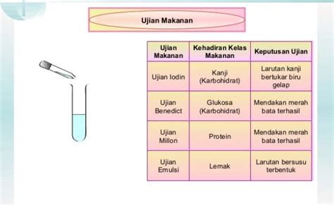 Ujian Makanan Sains Tingkatan 2 Tingkatan 2 Bab 3 Brain Genius Otosection