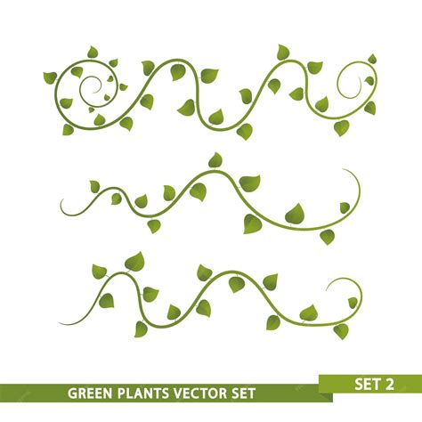 Premium Vector | Green vines set 2