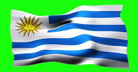 Flag Of Uruguay Realistic Waving On Green Screen Seamless Loop