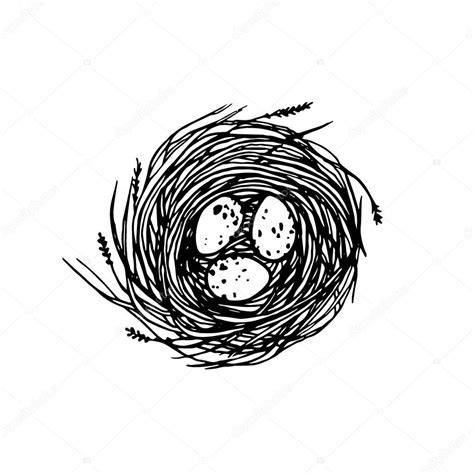 Hand Drawn Nest Illustration Stock Vector By Ezhevica