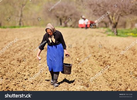 Old Farmer Woman Sowing Seeds Mixed With Fertilizer From A Bucket Stock