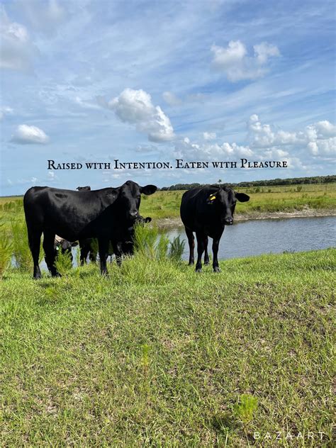 Rosewood... - Rosewood Ranches- Texas Raised Wagyu Beef