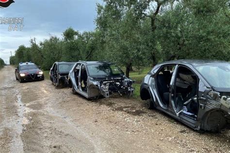 Tre Auto Rubate A Corato Ritrovate Cannibalizzate In Territorio Andriese