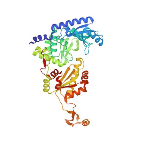 Rcsb Pdb X R Crystal Structure Of The A Fulgidus Cca Adding Enzyme