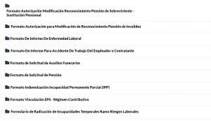 Arl Positiva Servicios Y Consultas Consulta Gov