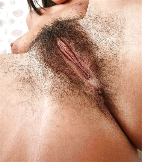 Behaarte Pussys 1 Hairy Pussy 01 8D39D0F6 1F41 48C6 9FCC 9070B2C0AF12 Porn Pic