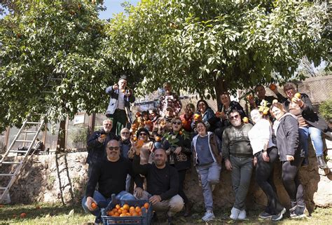 Turunçlar ekonomiye kazandırılıyor istihdama katkı sağlıyor