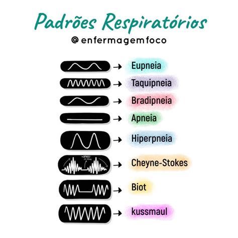 O Que Significa Eupneia - Rone Felipe | Enfermagem em Foco on Instagram: "💨 Eupneia: respiração ...