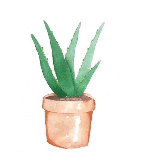 Beautiful Watercolor Plant Illustration