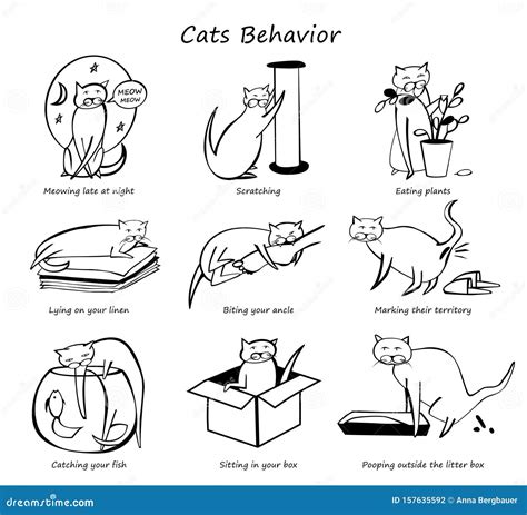 Cat Behavior Set stock vector. Illustration of nasty - 157635592
