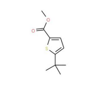 Methyl 5 Tert Butyl Thiophene 2 Carboxylate SCBT Santa Cruz