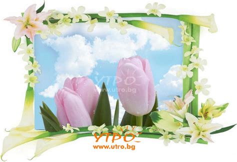 Картички за Цветница 