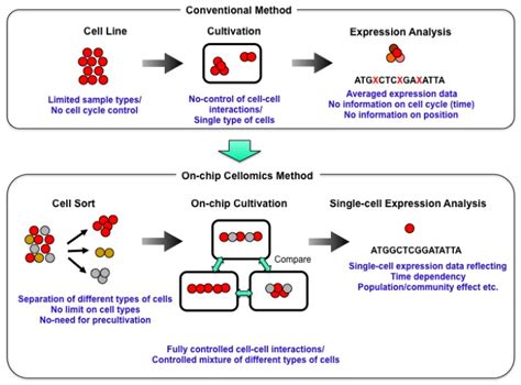 Our strategy: on-chip cellomics analysis. In the conventional ...