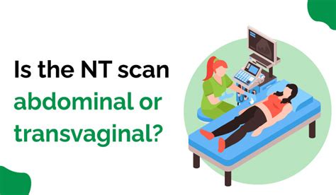 How Nt Scan Is Done The Comprehensive Guide In 2023