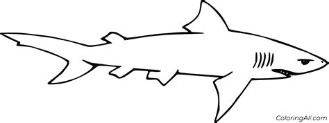 how to draw a lemon shark
