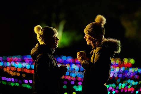 RHS Garden Bridgewater will GLOW with light this winter - Worsley.Info