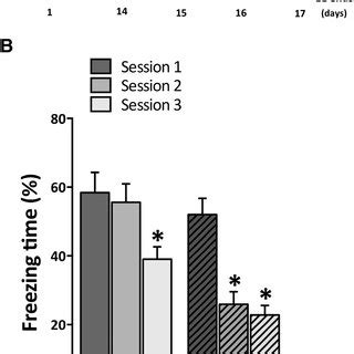 Effects Of Enriched Environment In The Fear Extinction Facilitation