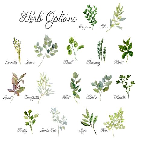 Watercolor Herbs Prints Herb Wall Art Herbs Kitchen Decor Etsy