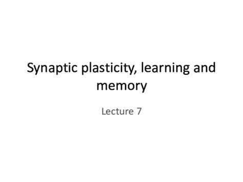 (PDF) Synaptic plasticity, learning and memory | Sol Mensk - Academia.edu