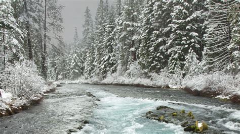 Wallpaper River Trees Forest Snow Winter Hd Picture Image