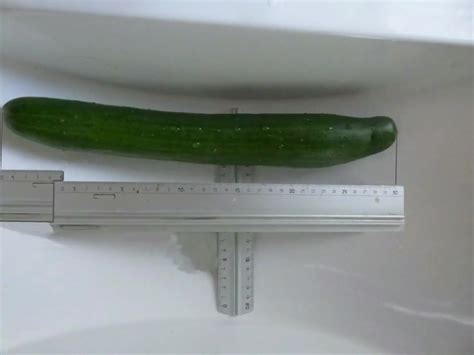 Cucumber Big Long Full In Ass And Cumshot ThisVid
