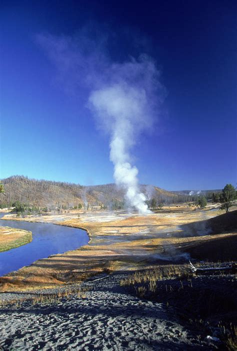 Yellowstone Fumaroles Photograph by David Hosking | Pixels