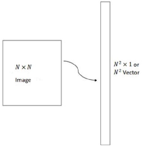 Matrix to column vector transformation | Download Scientific Diagram