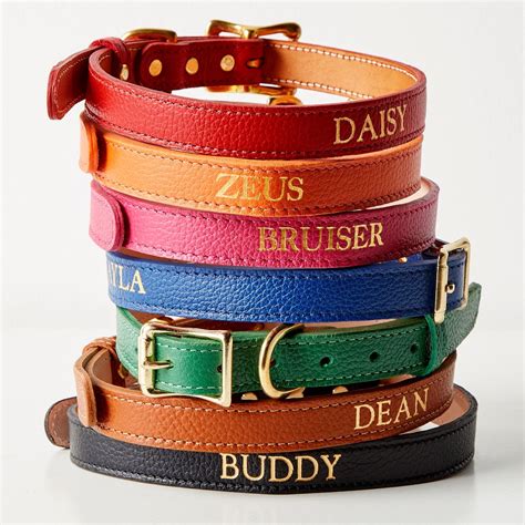 35+ Chic Designer Dog Collars To Shop For Your Pup