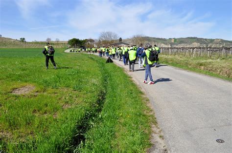 Camminiamo Insieme Il Programma