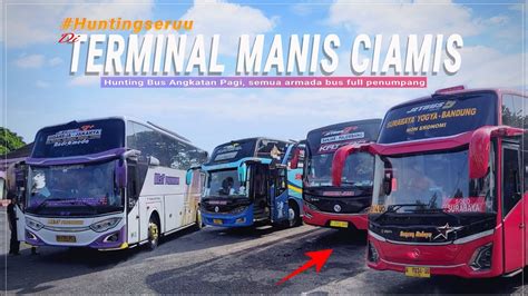 Hunting Bus Angkatan Pagi Di Terminal Ciamis 2024 YouTube