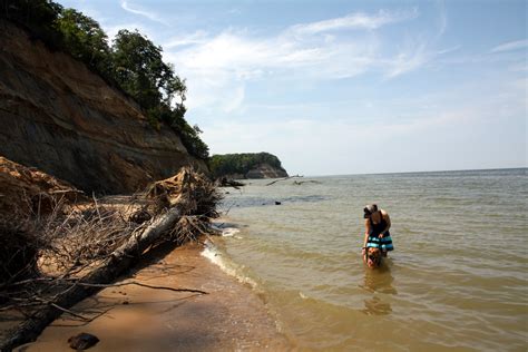 Jason's Photos: Calvert Cliffs State Park