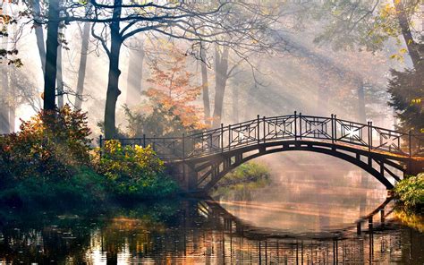 Wallpaper 1920x1200 Px Bridges Forest Landscapes Morning Nature