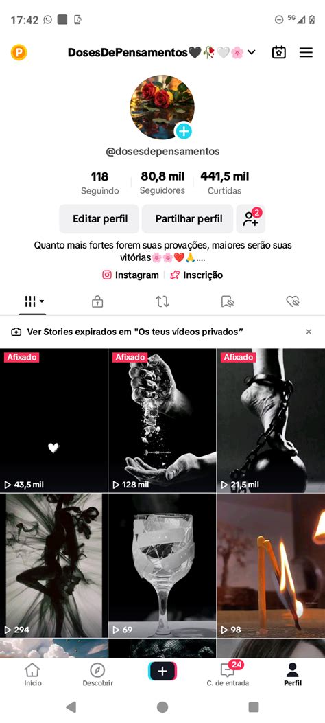 Tiktok Engajado E MONETIZADO 80 8K Seguidores 441 5K Curtidas Alpha