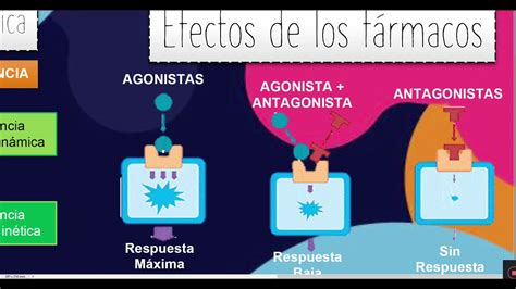 Farmacodin Mica Aspectos Generales Tipos De Receptores Y Relaci N