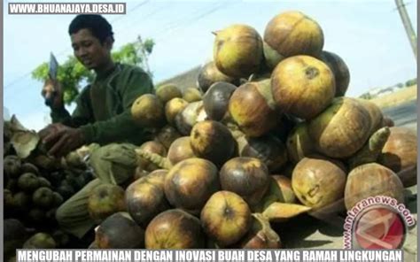 Mengubah Permainan Dengan Inovasi Buah Desa Yang Ramah Lingkungan