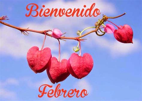 MUJER COMO TU BIENVENIDO FEBRERO MES DEL AMOR