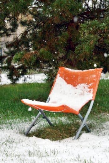 De la neige dans votre jardin Un allié aux bienfaits cachés pour vos