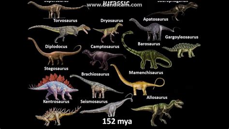 Dinosaur Human Timeline