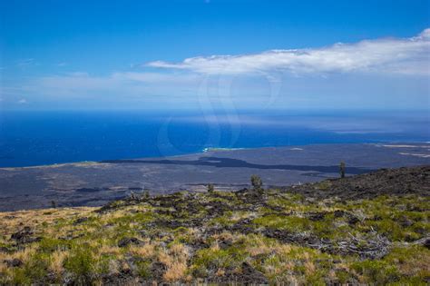 Reclaimed Land From Lava Flows Steve Jansen Photography