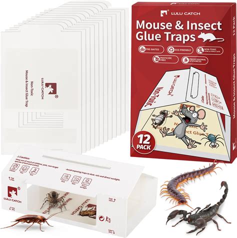 Bug Shield Sticky Glue Traps 12 Glue Boards All Types Of