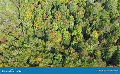 Beautiful Fall Colors In The Canadian Countryside Stock Video Video