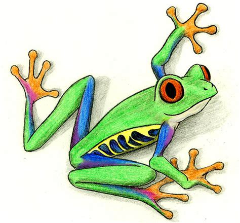 Cartoon Tree Frog Clipart Best