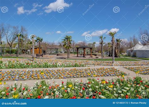 famous flower gardens hirschstetten  vienna austria stock photo