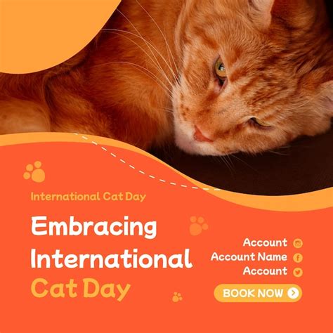 Premium Psd International Cat Day Instagram Post Psd Template